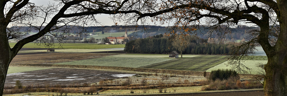 6. Platz Harald Unglert